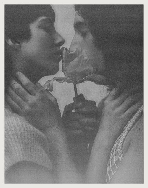 Close-up grayscale image of two people touching noses with a rose in between. The rose is in focus, and the background is blurred.