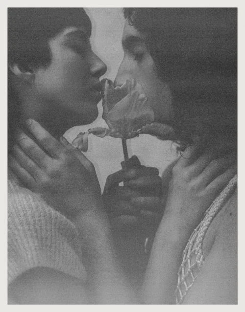 Close-up grayscale image of two people touching noses with a rose in between. The rose is in focus, and the background is blurred.