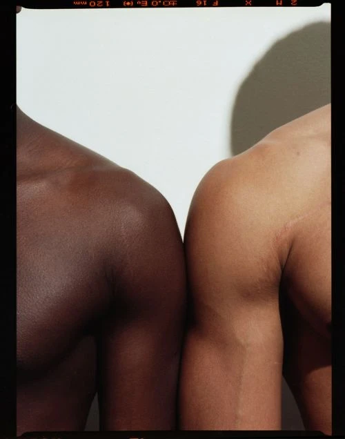 Close-up studio shot of two torsos: one dark-skinned and one light-skinned, side-by-side against a plain white background with subtle shadows.