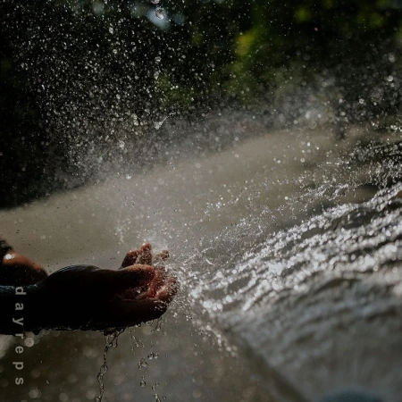 Close-up of cupped hands catching a stream of splashing water in an outdoor setting, possibly garden, with natural light creating reflections.