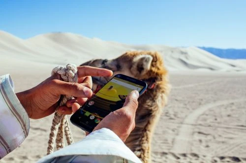 Hands holding a cell phone near a camel in a desert landscape with sand dunes and clear blue sky. Focus on the mobile device in use.