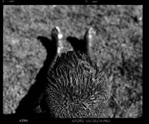 Black and white photograph from an eye-level perspective of the top of a person's wet head with feet and their shadow in the background.