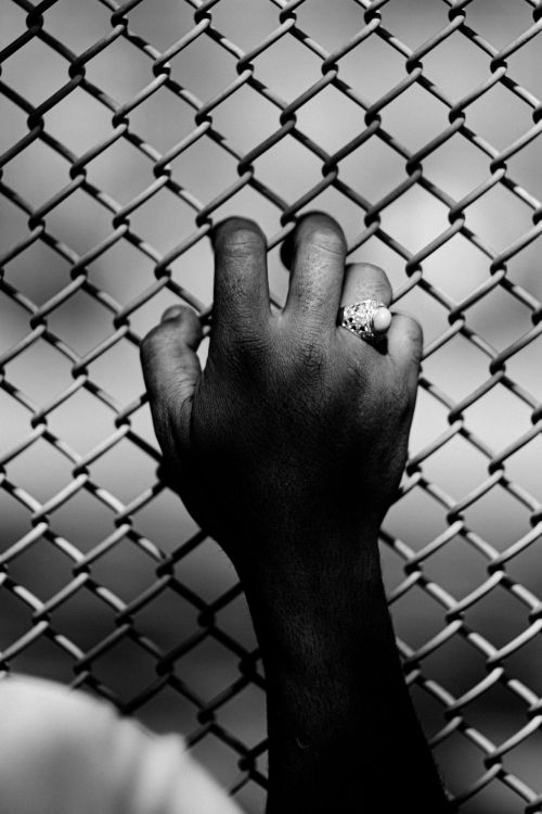 Monochrome image of an adult hand gripping a chain-link fence, showcasing a ring on the ring finger against a blurred background.