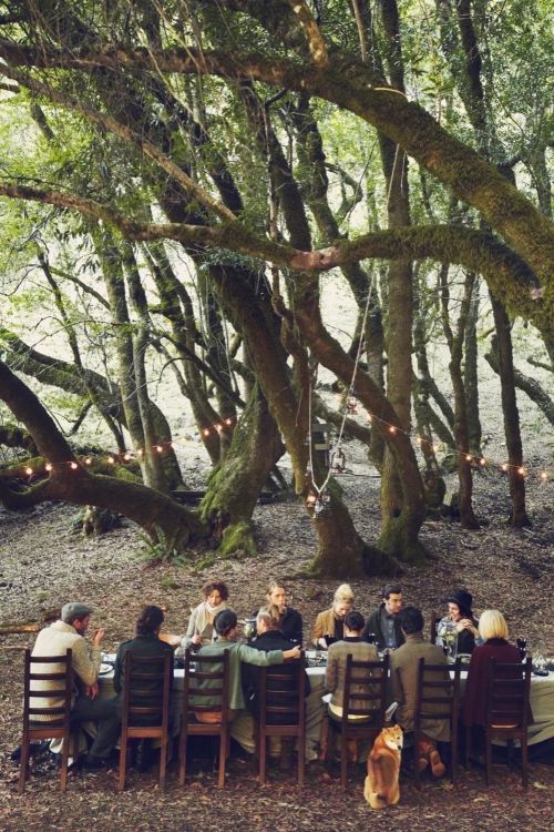 A group of people gathered around a long table for an outdoor meal in a forest setting, featuring lush trees and a warm, inviting atmosphere.