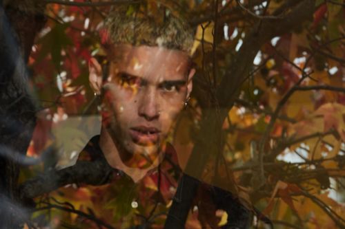 Close-up portrait of a young adult male with blond hair wearing a patterned shirt against a backdrop of autumnal leaves and branches.