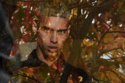 Close-up portrait of a young adult male with blond hair wearing a patterned shirt against a backdrop of autumnal leaves and branches.