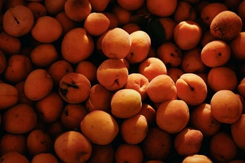 Overhead shot of fresh apricots in a pile, displaying vibrant orange tones and natural textures, creating a visually appealing food still life.