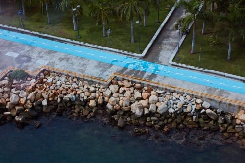 Coastal view with blue paved path, rocky shoreline, and palm trees under daylight. Aerial shot showcasing coastal landscape. 