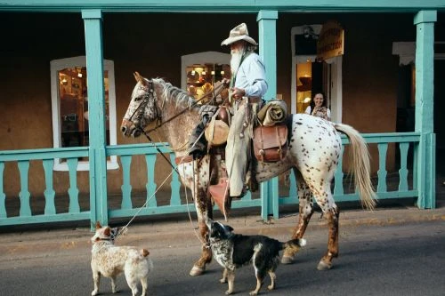 An older man with a long white beard rides a horse, followed by two dogs on a street, with a building in the background.