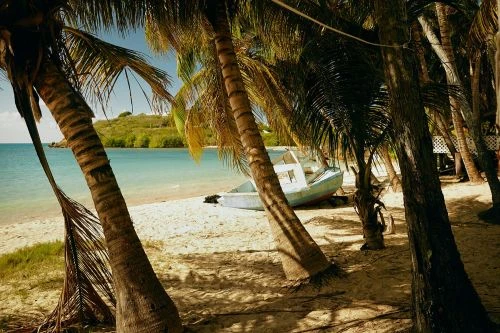 Sandy beach with palm trees, calm turquoise ocean, and a stranded white boat in the background on a sunny day in a tropical setting.