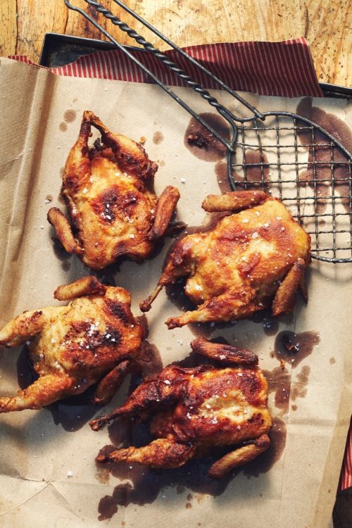 Overhead shot of four cooked Cornish hens seasoned with salt, placed on parchment paper with a metal cooking rack beside them.