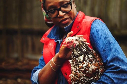 Black woman wearing black glasses and red vest holding a mottled chicken in Los Angeles