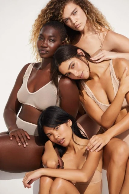 Four diverse women are posing indoors wearing neutral-toned underwear. They are arranged closely together and looking at the camera.