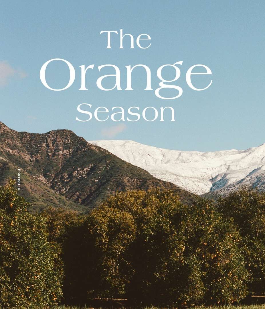 Snow-capped mountains provide a scenic backdrop to a grove of orange trees under a clear sky, showcasing the fruit's vibrant season.