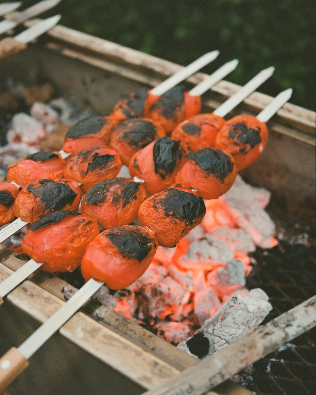 Grilled tomato skewers on a grill with glowing coals. The tomato skewers are charred and ready to eat in an outdoor setting.