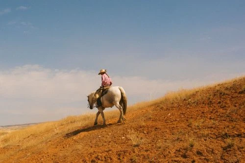 A person in cowboy hat riding a white horse up a red dirt hill under a sunny blue sky in an outdoor rural setting.