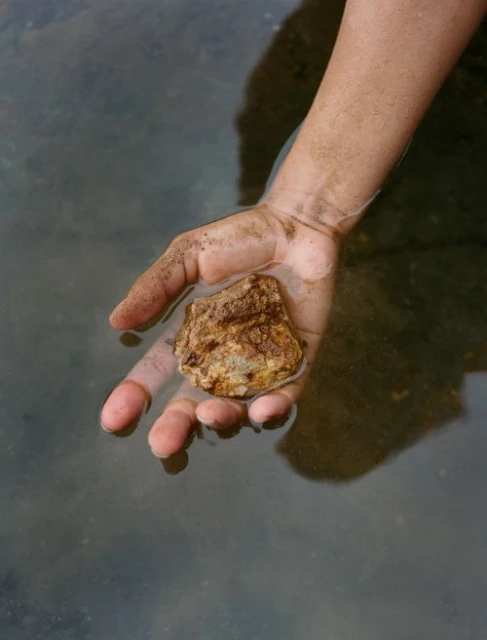 A person's hand holds a wet, brown rock or stone in the water, the fingers submerged. The shallow depth of field blurs the watery background.