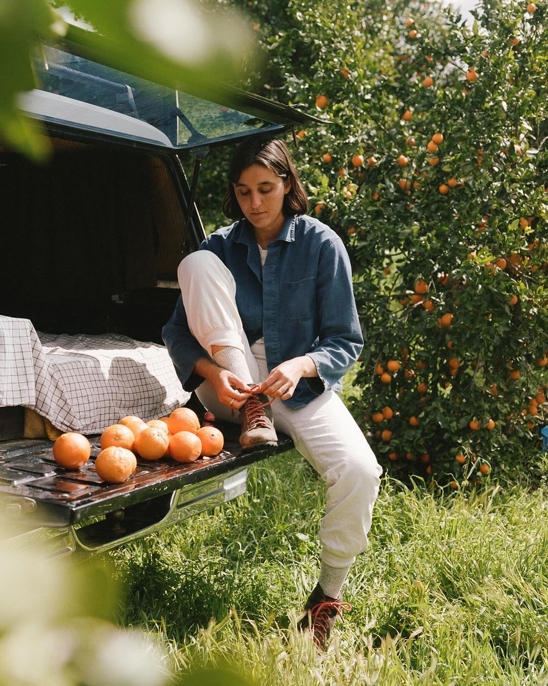 Woman ties shoelaces on the back of a pickup truck surrounded by oranges, with an orange tree and a grassy field in the background.