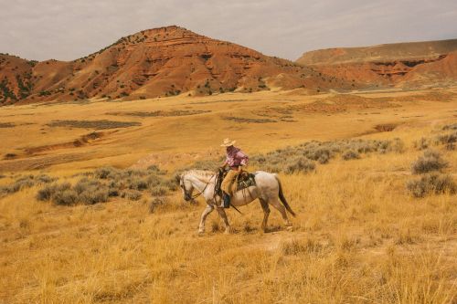 A person riding a horse through a grassy field with red rock formations in the background, under a cloudy sky, capturing a Western scene.