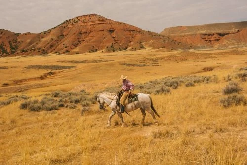 A person riding a horse through a grassy field with red rock formations in the background, under a cloudy sky, capturing a Western scene.