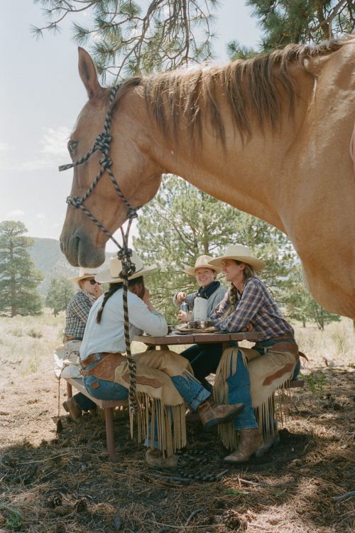 A group of people in cowboy attire sit at a picnic table in a field with a light-brown horse standing behind them in daylight.