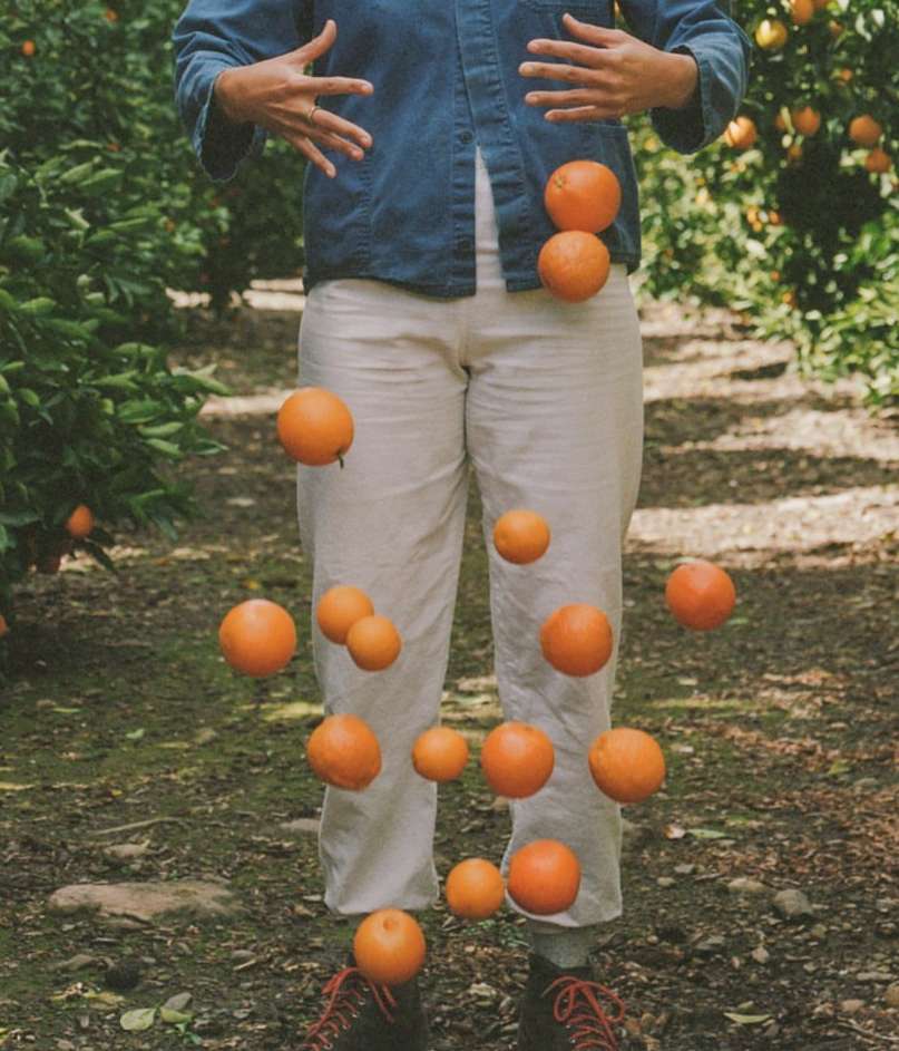 Person in an orchard juggling oranges, wearing a blue shirt and light pants, with rows of citrus trees visible in the background.