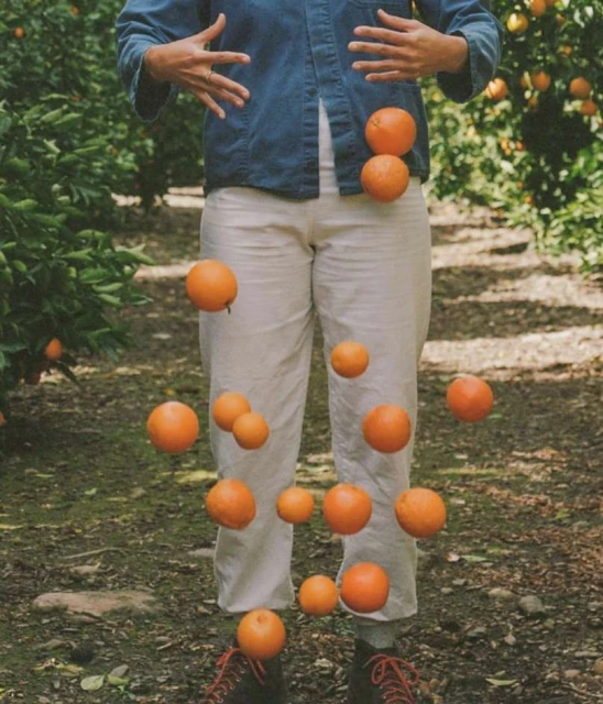 Person in an orchard juggling oranges, wearing a blue shirt and light pants, with rows of citrus trees visible in the background.