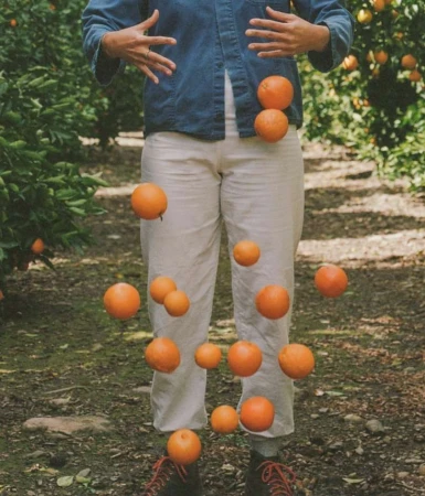 Person in an orchard juggling oranges, wearing a blue shirt and light pants, with rows of citrus trees visible in the background.