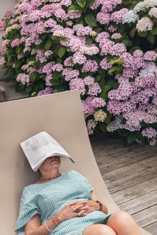 Elderly woman relaxes in lounge chair outdoors with newspaper over face near blooming pink hydrangea bush in sunny garden.
