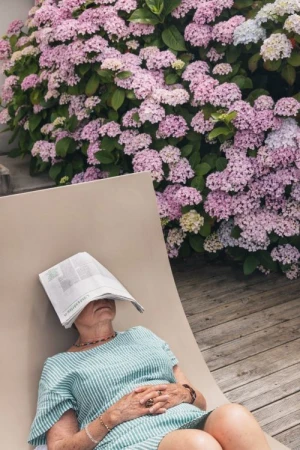 Elderly woman relaxes in lounge chair outdoors with newspaper over face near blooming pink hydrangea bush in sunny garden.