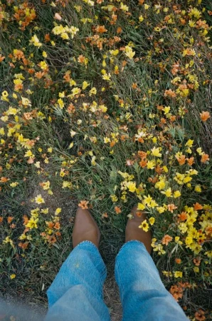 High-angle view of a person wearing blue jeans and brown boots standing amidst a field of yellow and orange wildflowers.