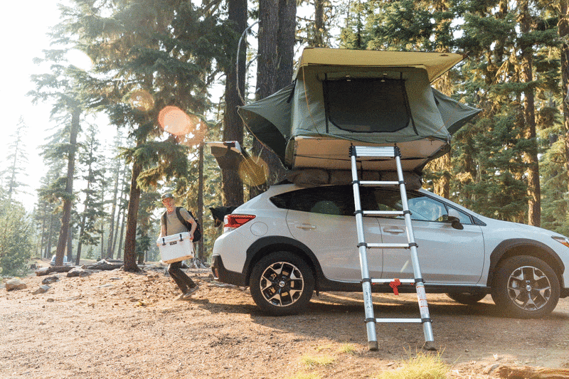 Off-road camping with SUV topped by tent, silver ladder, and man with cooler in sunny forest clearing, representing outdoor lifestyle.