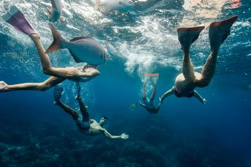 Underwater shot of group of people snorkeling and swimming with fish in deep blue ocean water with sunlight shimmering through the surface.