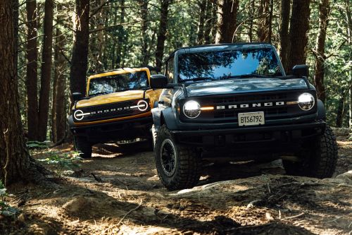 Two Ford Broncos, one gray and one yellow, drive on a dirt path through a forest with tall trees in a natural, outdoor setting.