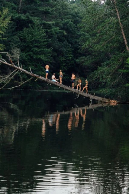 Group of people standing on fallen tree over calm water, surrounded by a lush green forest. Reflections visible on the water's surface.