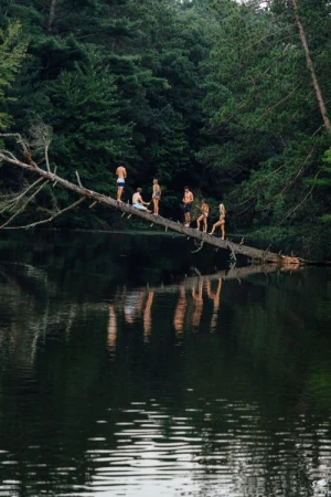 Group of people standing on fallen tree over calm water, surrounded by a lush green forest. Reflections visible on the water's surface.