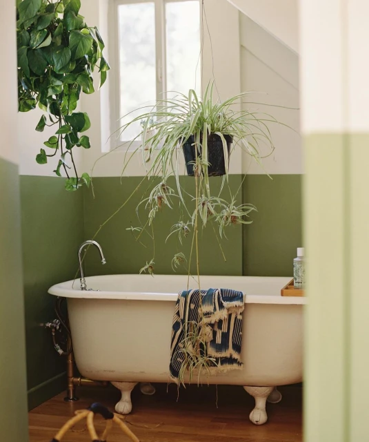 Bathtub in a bathroom with white walls and plants. A patterned towel hangs on the side of the tub near the faucet and window.