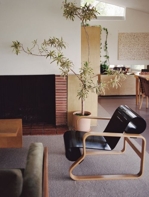 A modern interior showcases a black armchair, a tree in a pot, and a fireplace, set against a neutral color palette, promoting interior design.