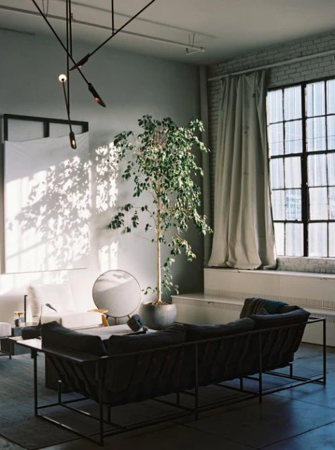 Modern living room interior with a gray sofa, potted tree, black frame window, and architectural lighting. Interior design and lifestyle concept.