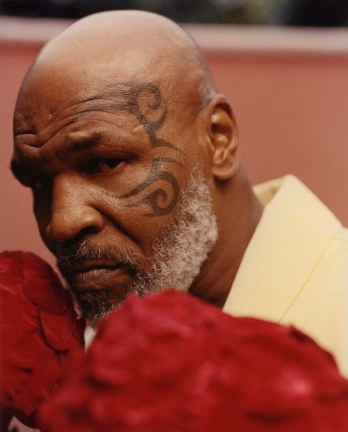 Close-up of Mike Tyson with a tribal face tattoo and red boxing gloves, captured in a portrait, conveying strength and determination.