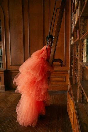 Woman in a ruffled orange gown poses on a wooden ladder in a library with a parquet floor and dark wood bookshelves and paneling.