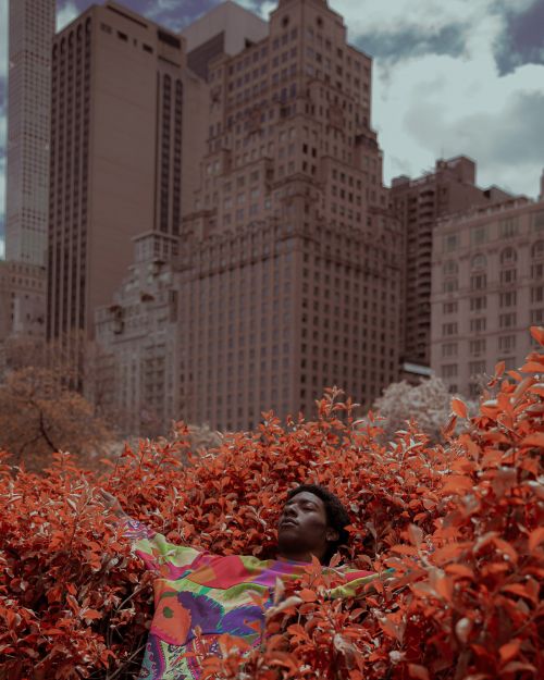 Adult lies among red foliage near city. Figure wears a colorful top with arms outstretched, buildings in the background on cloudy day.
