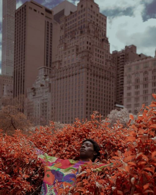 Adult lies among red foliage near city. Figure wears a colorful top with arms outstretched, buildings in the background on cloudy day.
