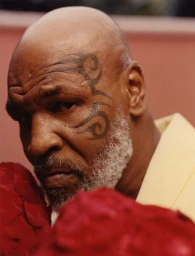 Close-up portrait of Mike Tyson wearing red boxing gloves and a pale collared shirt, featuring his signature facial tattoo.