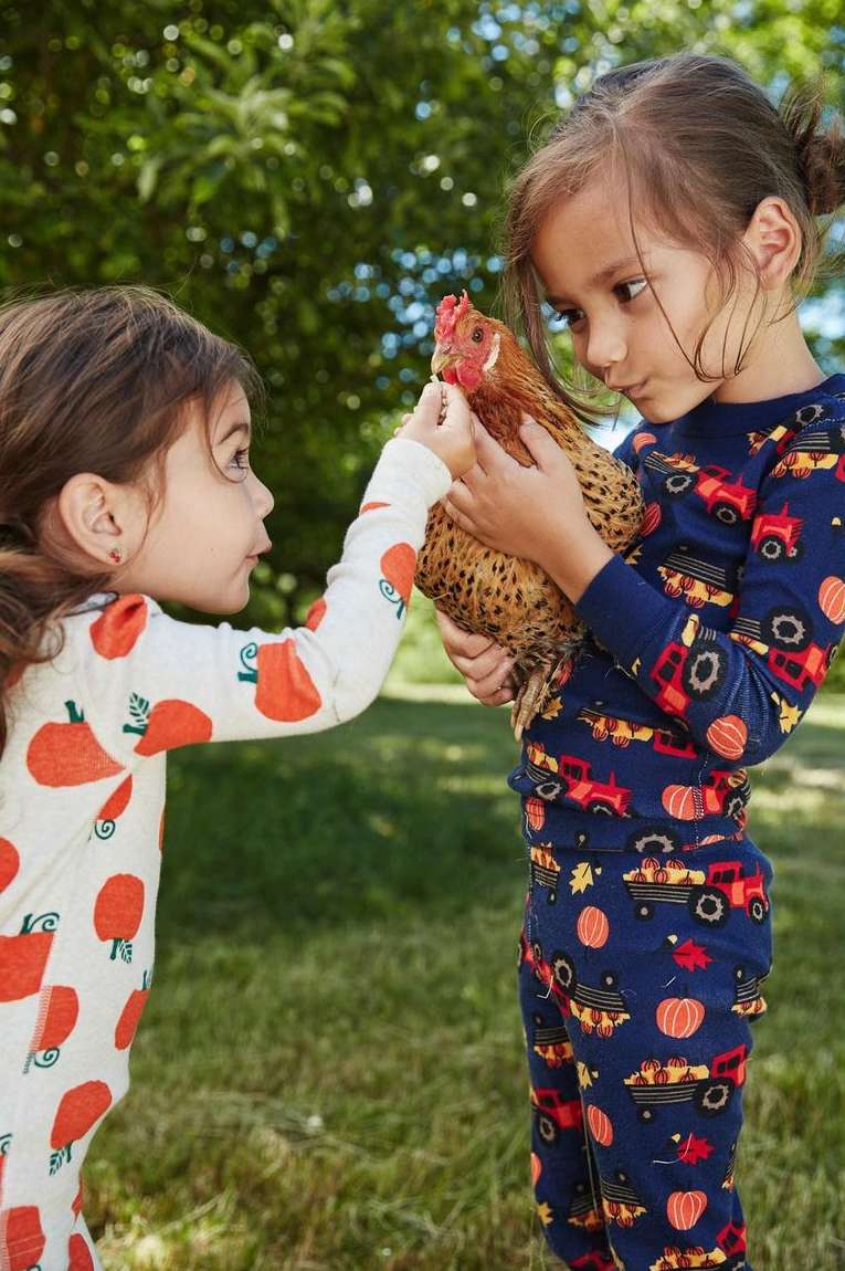 Two young girls in pajamas outdoors, one holding a brown chicken, the other reaching out to touch it, with green grass background.