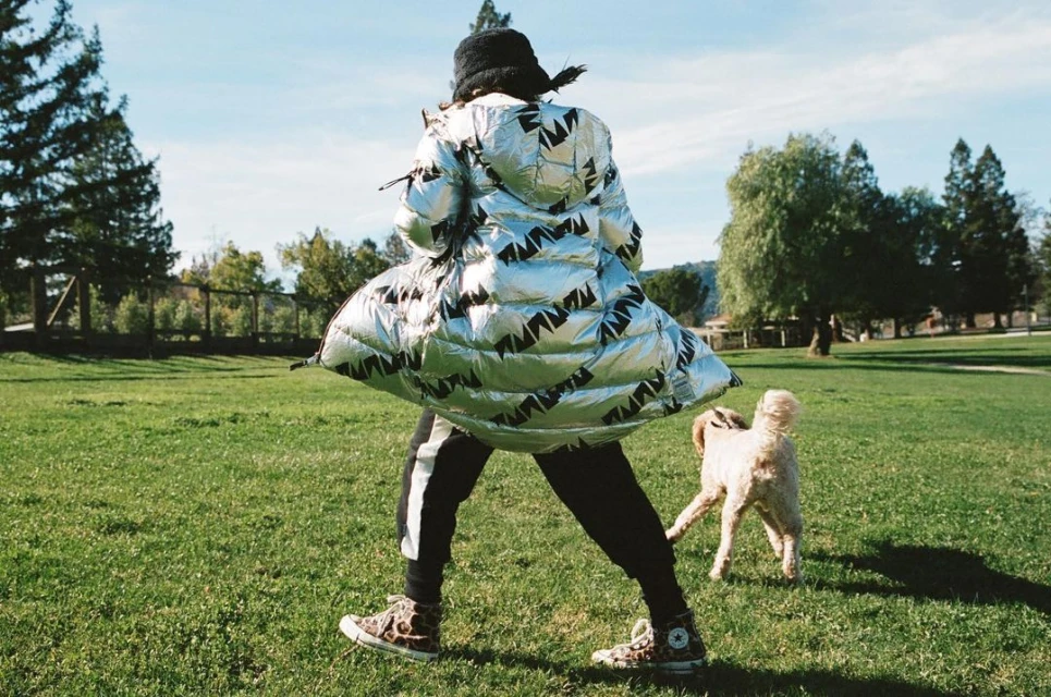 Person in a patterned silver puffer jacket walks a dog on a grassy field on a sunny day with trees and a blue sky in the background.