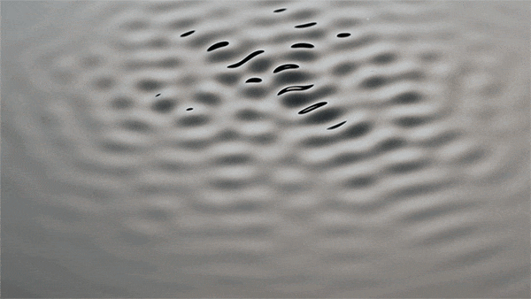 Abstract shot of water ripple pattern on a silver surface, creating a mesmerizing visual effect with dark accents and soft gradients.