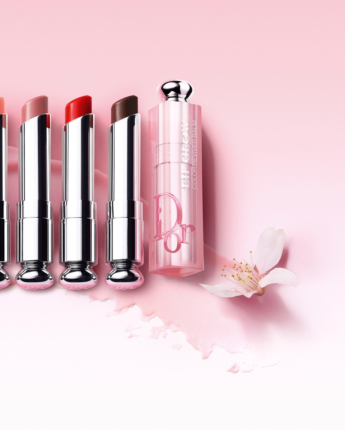 Dior lipstick collection in multiple colors displayed with a single blossom against a pink background gradient for beauty advertising.