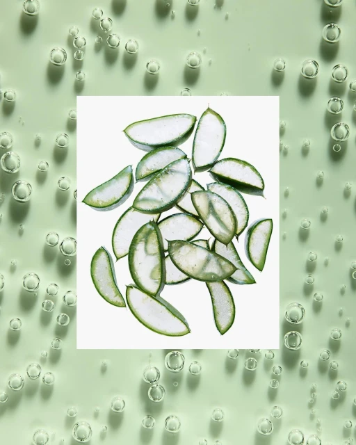 Close-up of aloe vera slices on a bright green, bubbly surface, suggesting skincare product photography for the beauty and healthcare industries.
