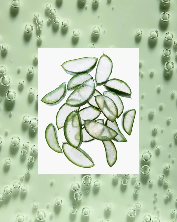 Close-up of aloe vera slices on a bright green, bubbly surface, suggesting skincare product photography for the beauty and healthcare industries.